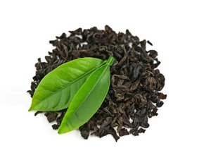 Green Tea Extract 95% Polyphenols
