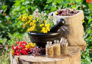Herbal Extracts