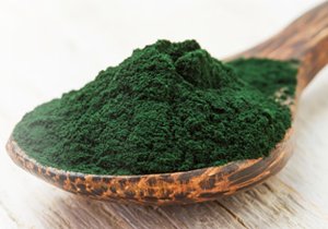 Standardized Bulk Herbal Extracts Production at Phyto Life Sciences