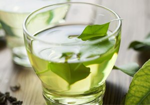 Botanical Extracts Manufacturer & Supplier in India