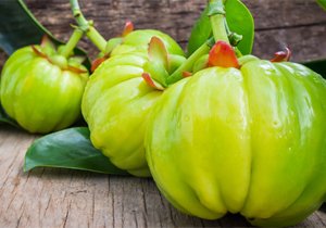 Garcinia Cambogia Extract HCA 60%